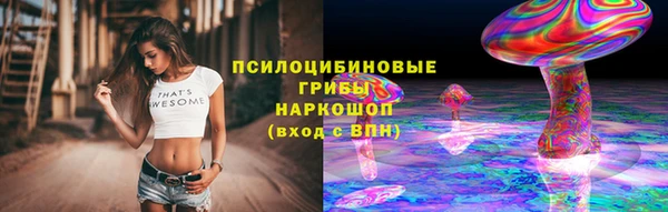 бошки Алзамай