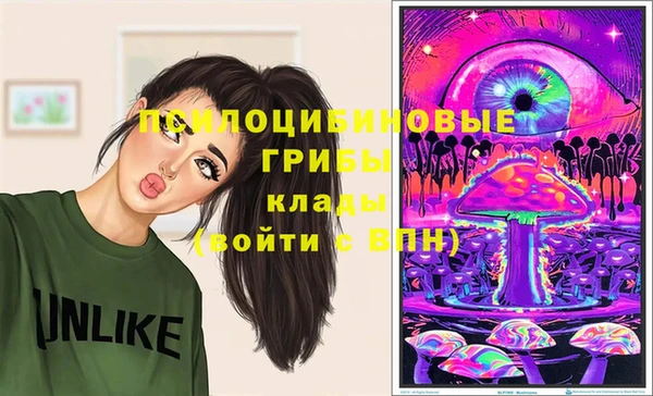 амф Алексин