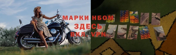 амф Алексин