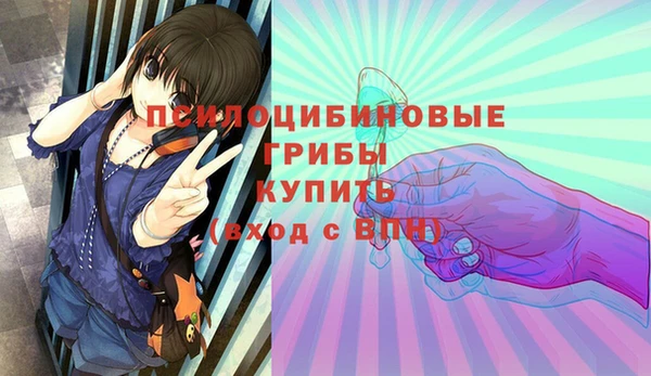 амф Алексин