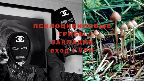 бошки Алзамай
