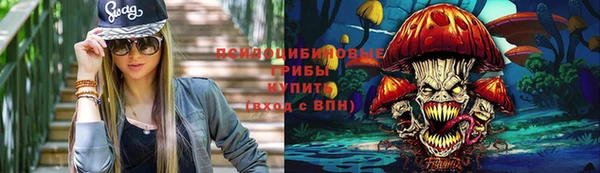 бошки Алзамай